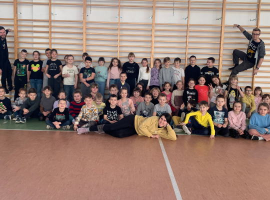 Instytut Zdrowia i Bezpieczeństwa