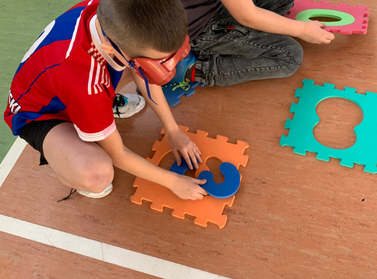 Instytut Zdrowia i Bezpieczeństwa