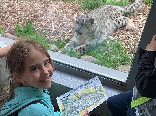 Trening Zwierzęcych Mocy w Zoo