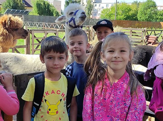 Półkolonie letnie z Kravvtrening – niezapomniana przygoda dla dzieci z Gostynina