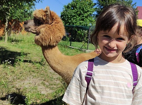 Półkolonie letnie z Kravvtrening – niezapomniana przygoda dla dzieci z Gostynina