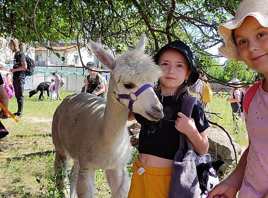 Półkolonie letnie z Kravvtrening – niezapomniana przygoda dla dzieci z Gostynina